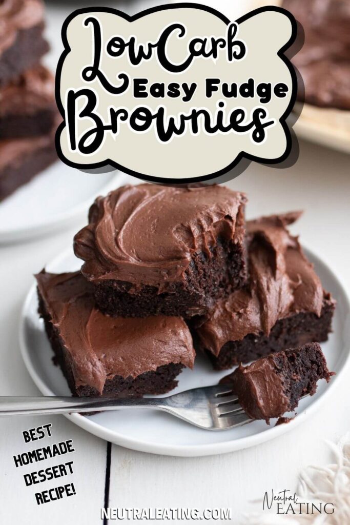 Easy Fudgy Brownies Recipe (The Best Chocolate Chip Brownies from Scratch)