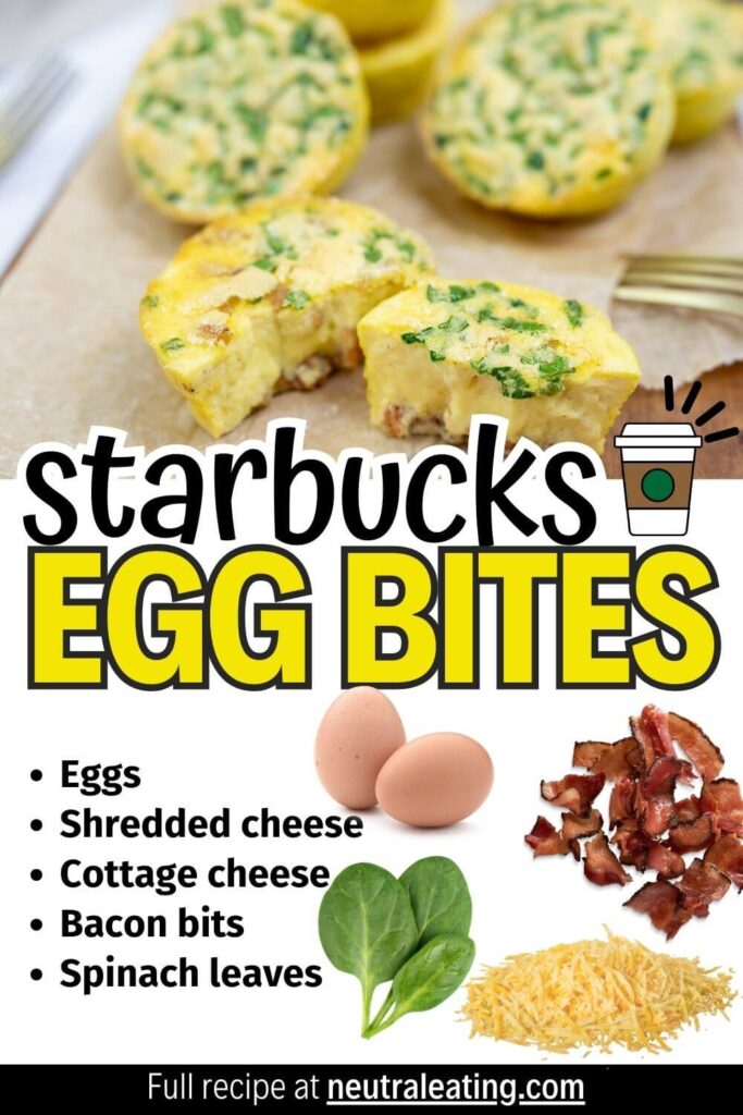 Healthy Egg Muffin Breakfast Ideas! Starbucks Copycat Recipe!