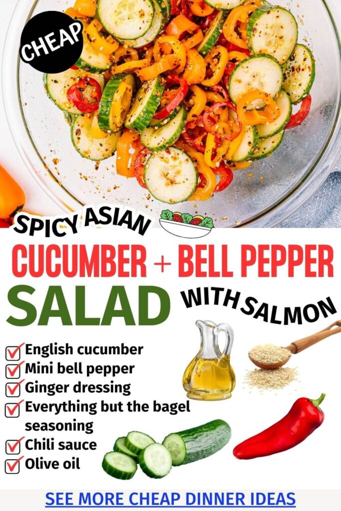 Tiktok Viral Cucumber and Pepper Salad Recipe (An Easy Healhy Salad Recipe with Salmon for Clean Eating)