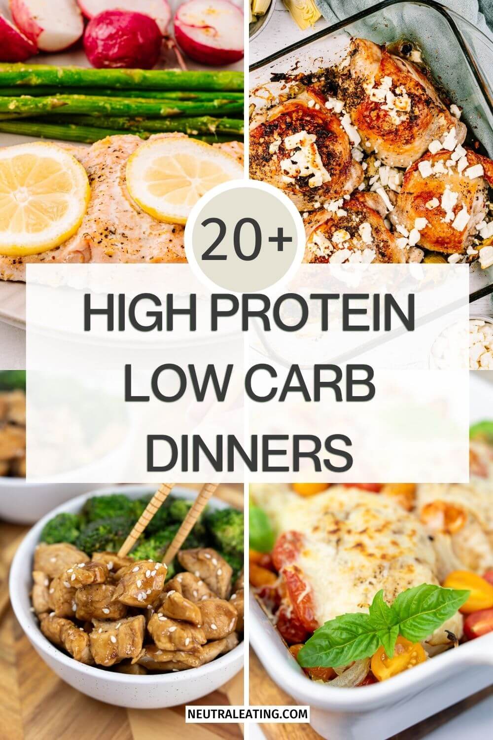 20 High Protein Low Carb Dinners